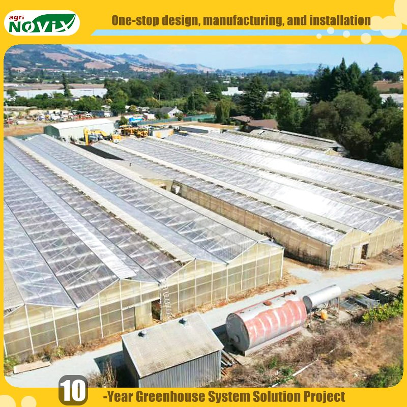 Hydroponic System Large PC Polycarbonate Greenhouse for Multi Crop Farming