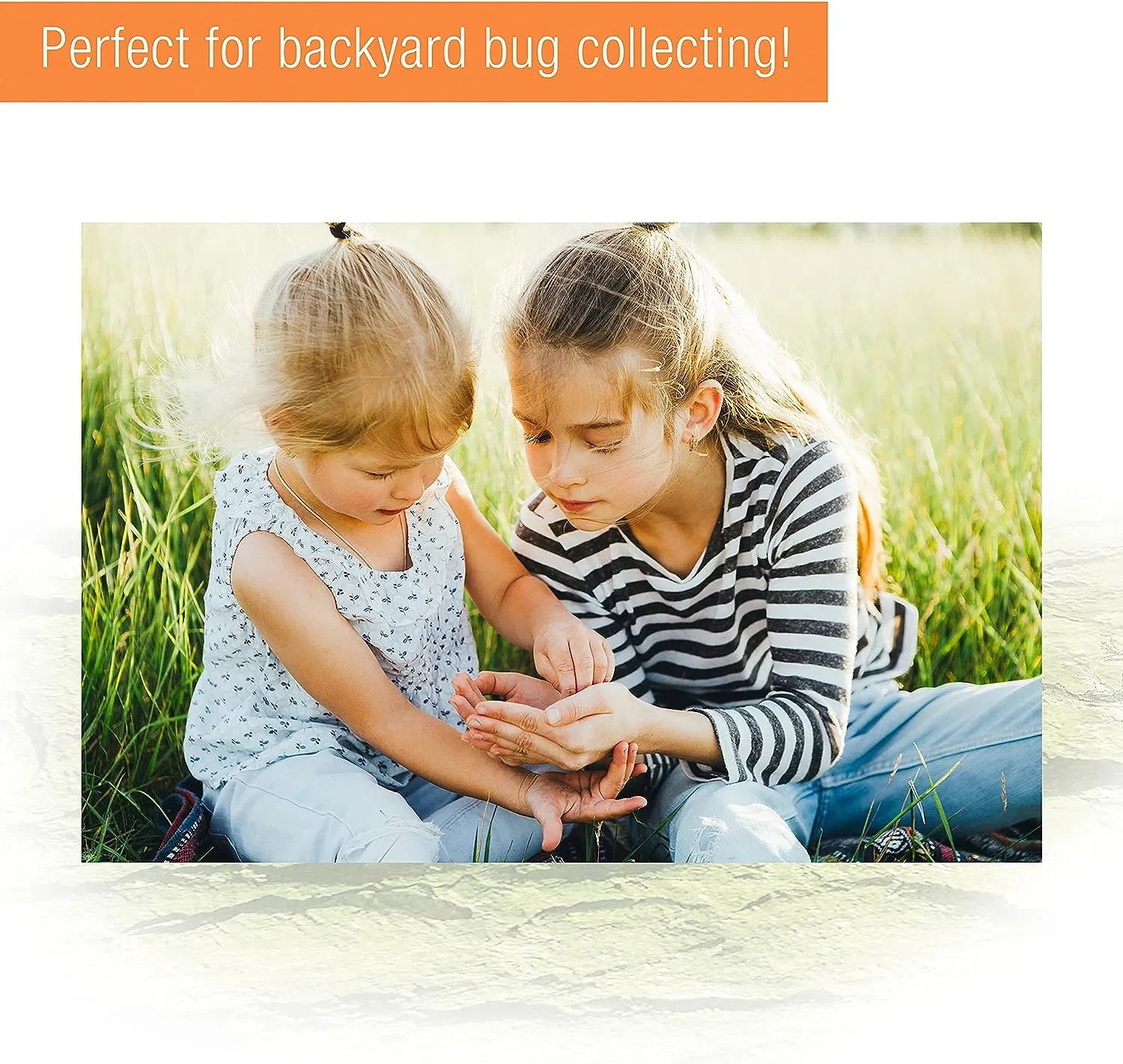 Acrylic Transparent Reptile Terrarium