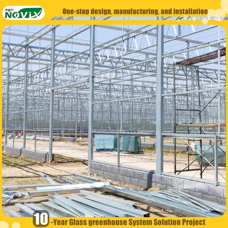 Hydroponic System Large PC Polycarbonate Greenhouse for Multi Crop Farming