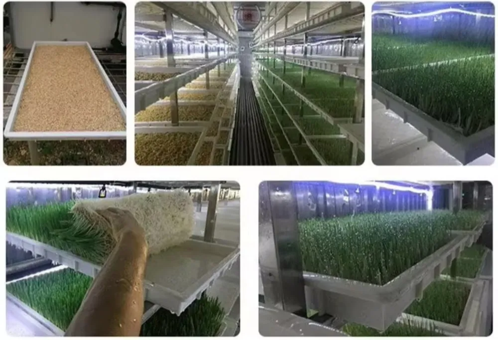 Hydroponics System Application 1