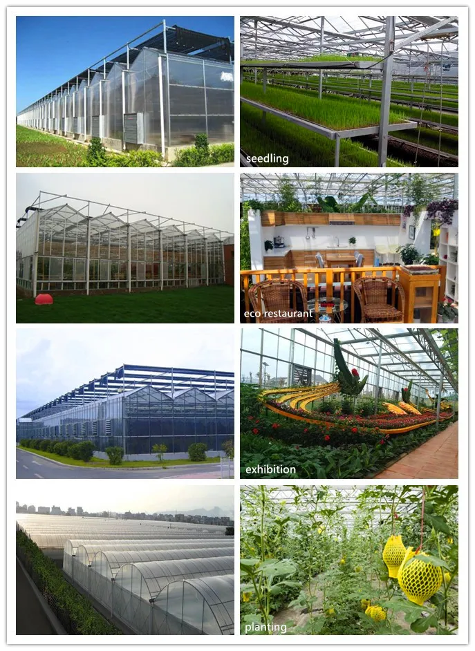 Other Greenhouse Type 2