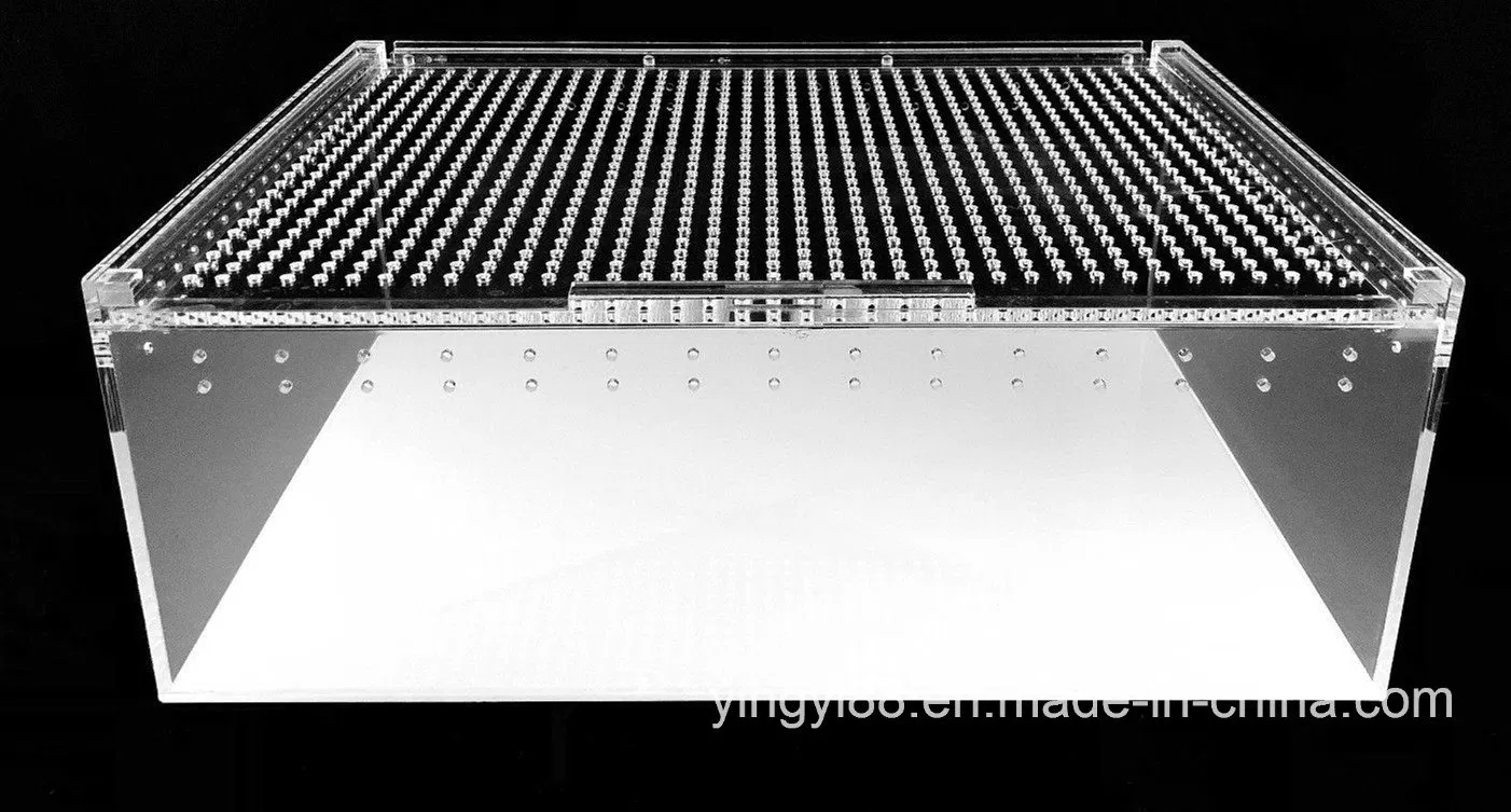 Wholesale Acrylic Reptile Terrarium for Gecko Lizard Snake Spider