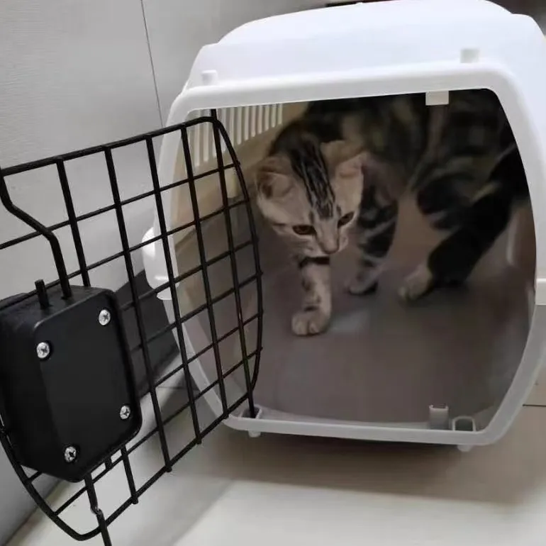 Pet Carrier Box 1