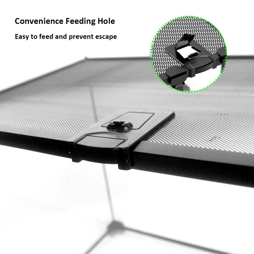 Multiple Size Small Glass Reptile Terrarium Bearded Dragon Lizard Enclosure