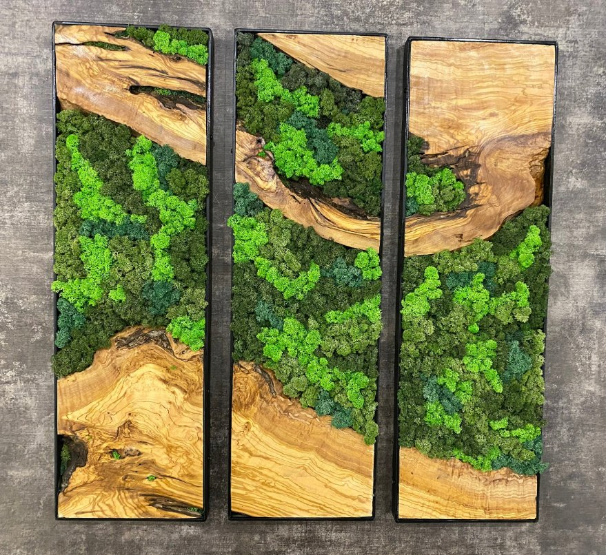 Moss Wall Decor Wall Art Gift for Mom Handmade Gift Moss Wall Art New Homeowner Furniture Interior Designer Gift for Her Botanical