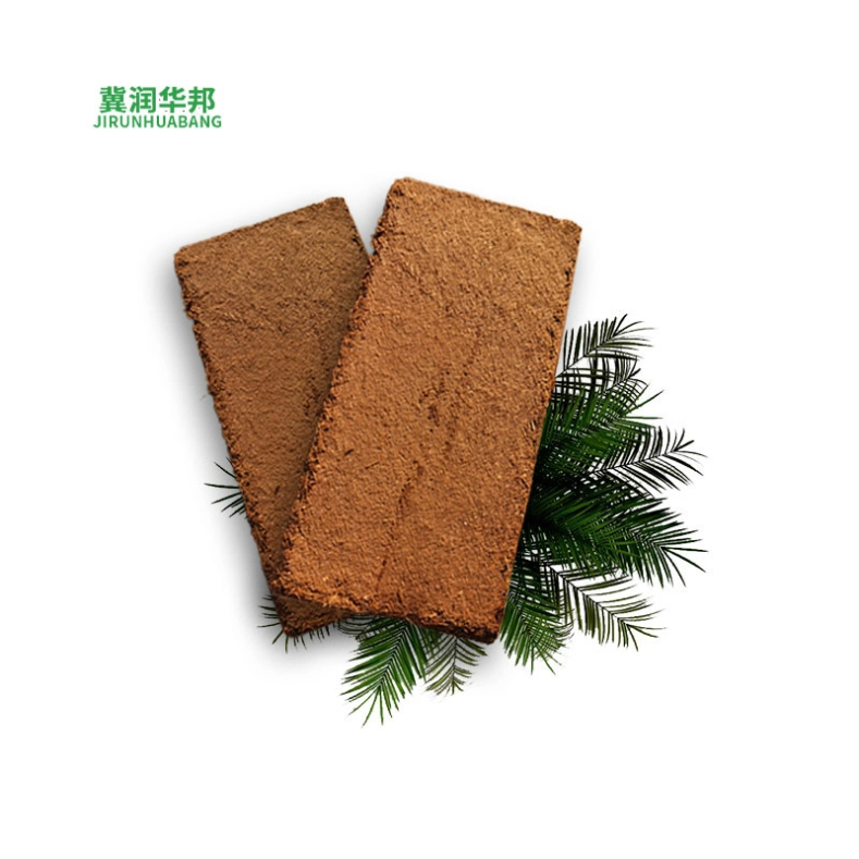 Biodegradable Coconut Shell Bricks: Suitable for Urban Gardening and Rooftop Greening, High-Quality Growing Materials