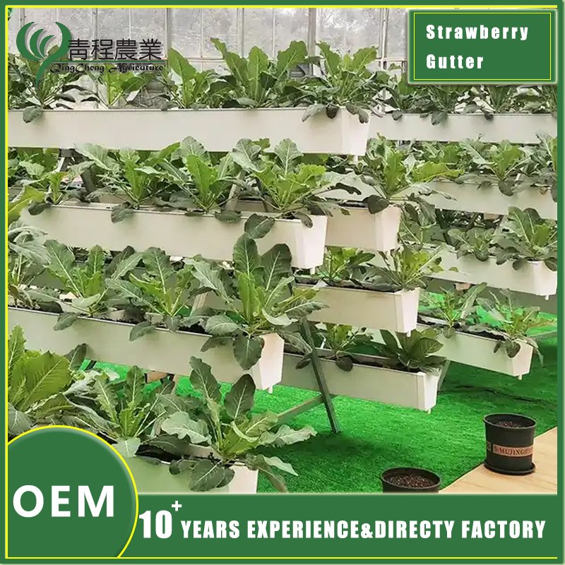 Premium Strawberry Growing Pot for Organic Gardening Practices
