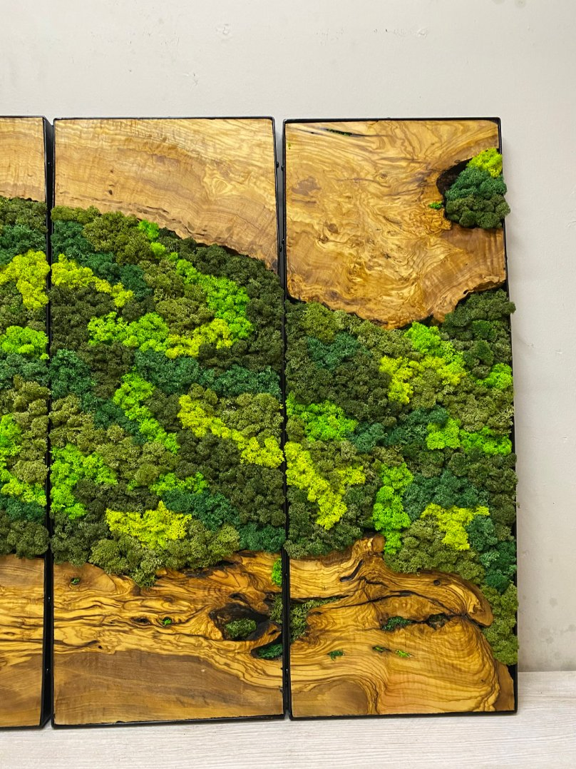 Moss Olive Wall Decor, Moss Wall Art, Moss Wall Sets, Preserved Moss Art Framed, Personalized Gifts, Moss No Maintenance Required Moss