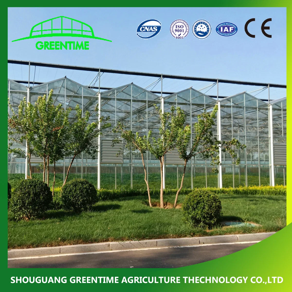 Cheap/Agriculture/Farm/Polycarbonate/Glass/Multi-Span Greenhouse with Irrigation Hydroponic System for Strawberry/Vegetables/Flowers/Tomato/Pepper