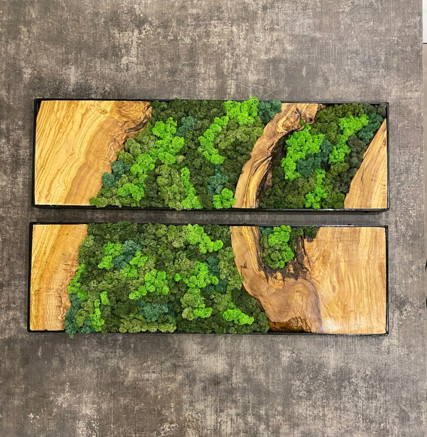 Moss Wall Decor Moss Wall Art Gift for Mom Interior Designer Gift for Husband Minimalist Decor Wall Sets Preserved Moss Art Framed