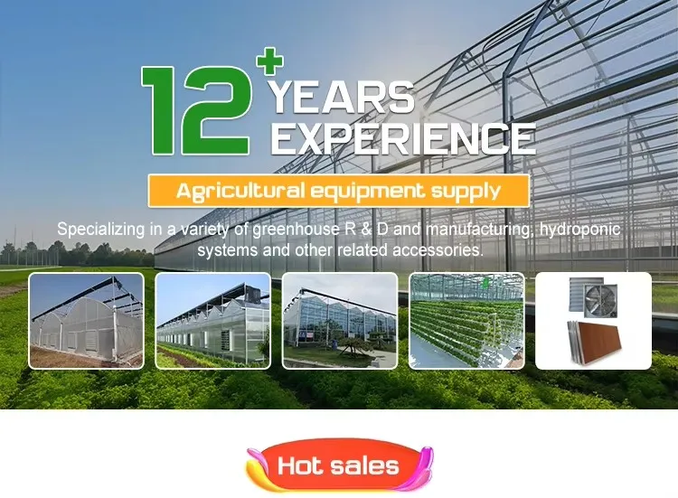 Glass Greenhouse Overview