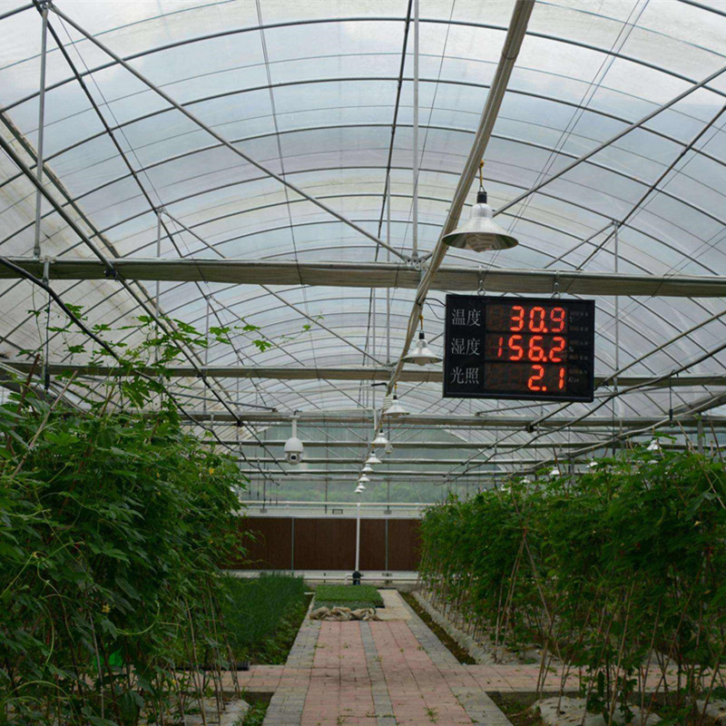 Frame Steel Galvanized Multi-Span/Plastic Film Greenhouse with Hydroponics Irrigation System for Strawberry/Flowers/Vegetables