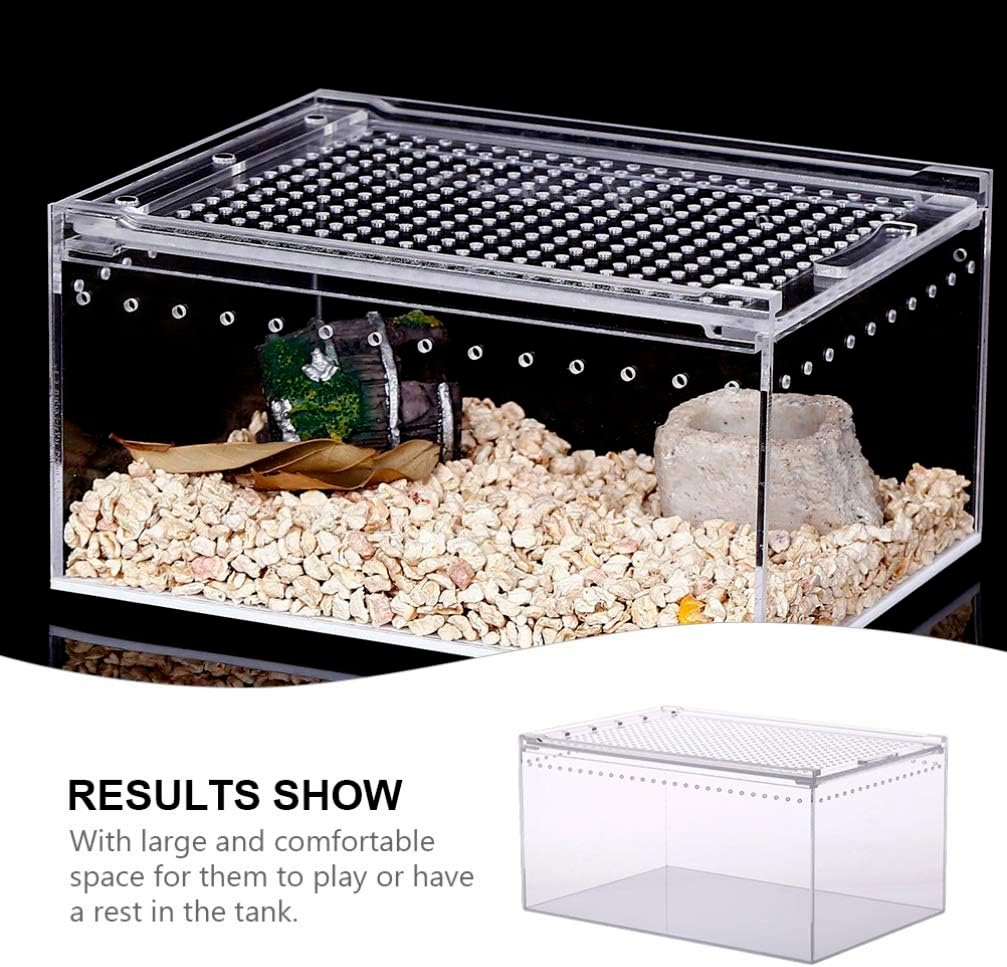 Wholesale Hot Sale Clear Acrylic Reptile Terrarium