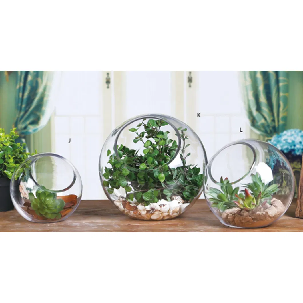 Detailed Glass Terrarium 1