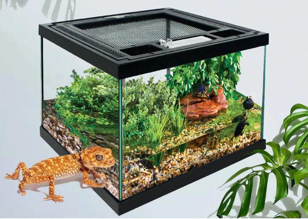 Premium Reptile Glass Terrarium