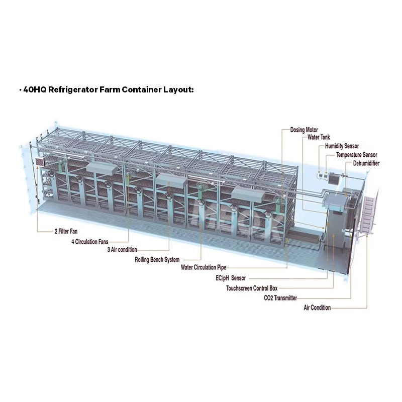 Agg Strawberry Wheat Grow 20FT 40FT Strawberry Hydroponic Lettuce Shipping Container Farm Plant Integrated Cargo Aquaculture System for Growing Herbs, Flowers