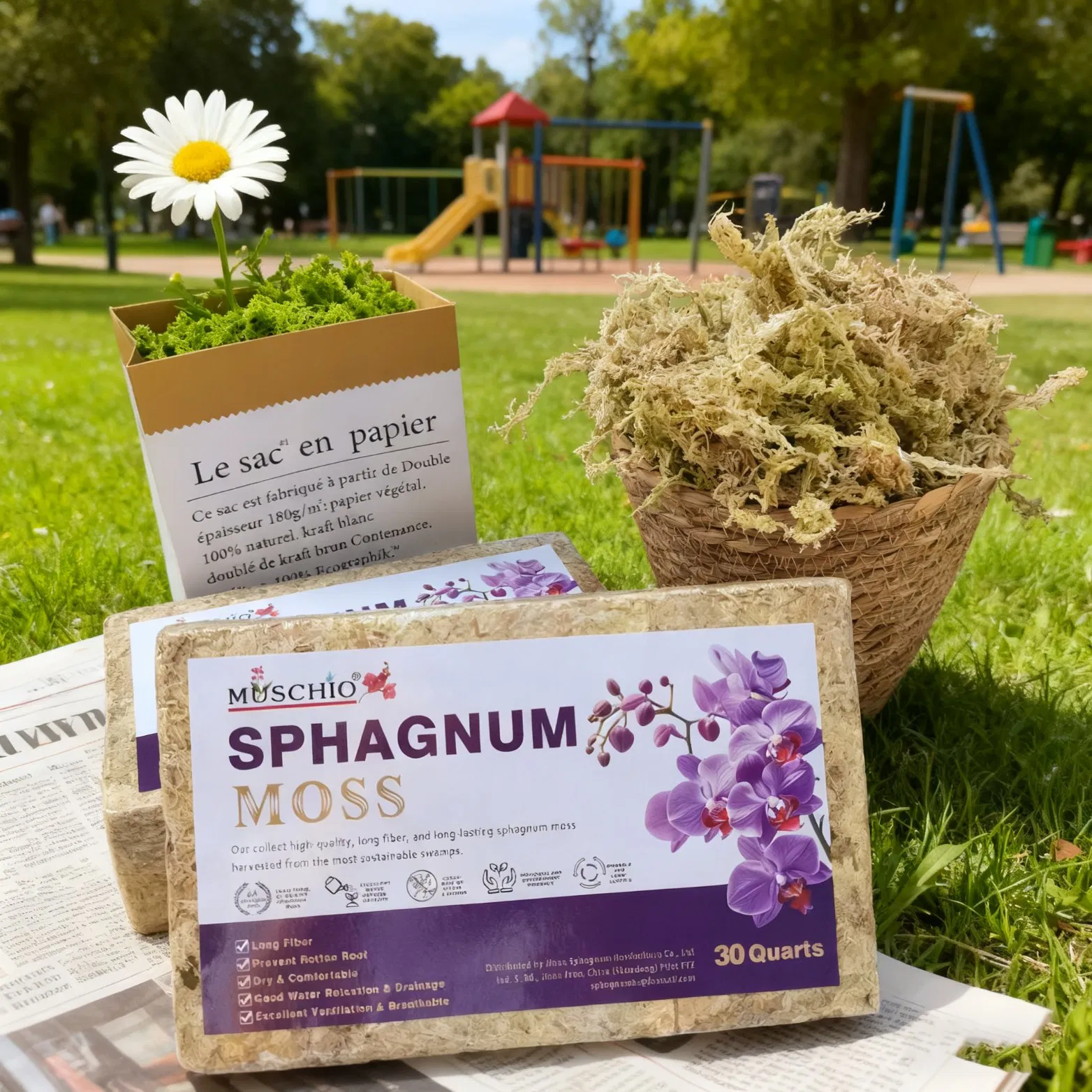 Factory-Direct Durable Sphagnum Moss for Plant Packaging &amp; Seedling Preservation