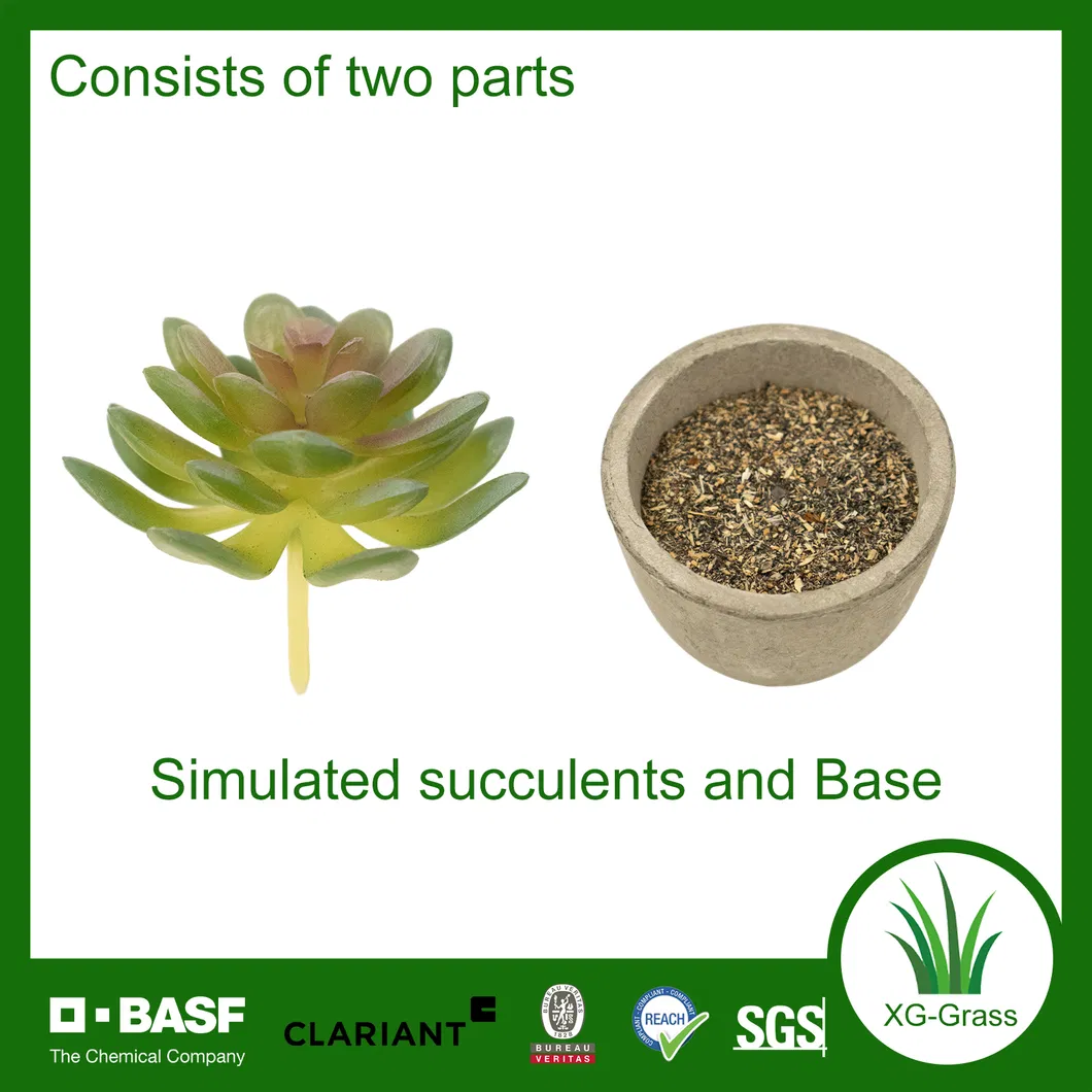 Lifelike Mini Succulent Art 2