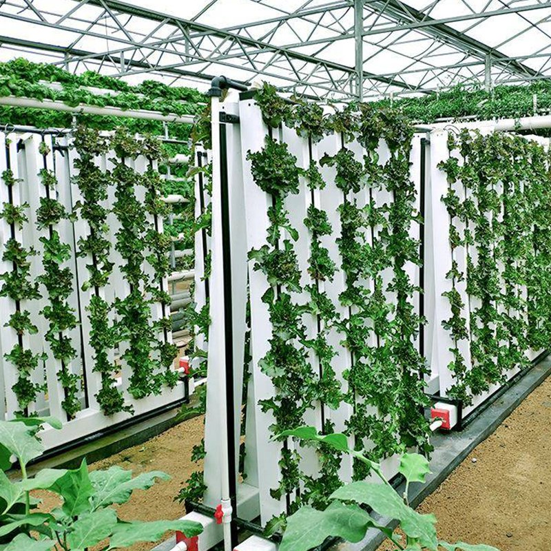 Rooftop Farm Nft Hydroponic System for Urban Sustainable Food Production