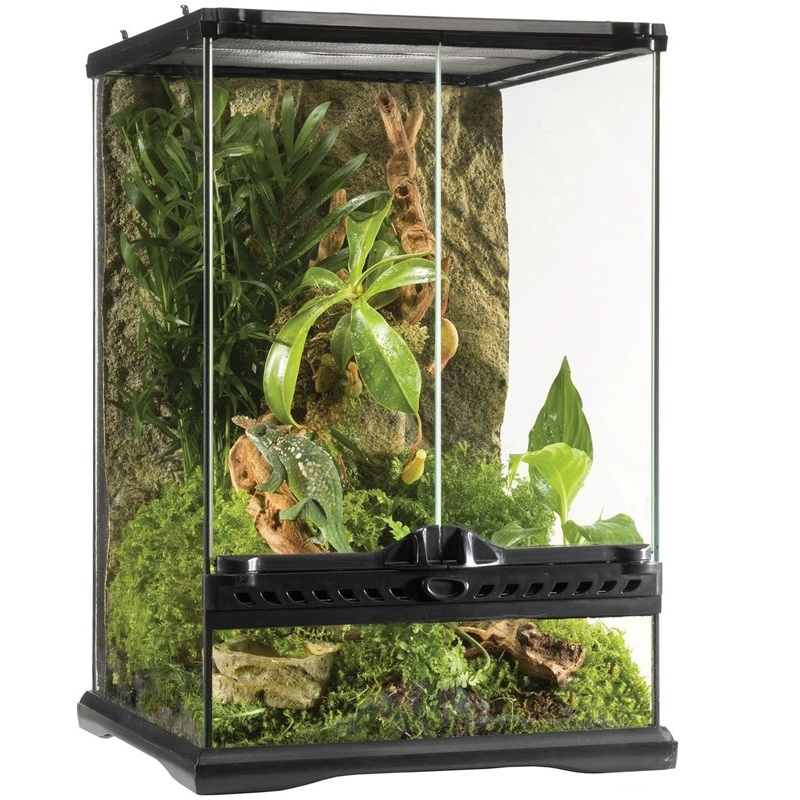 Small Naturalistic Terrarium Rainforest Habitat for Reptile Tortoise Snake