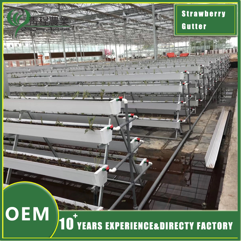 Premium Strawberry Growing Pot for Organic Gardening Practices