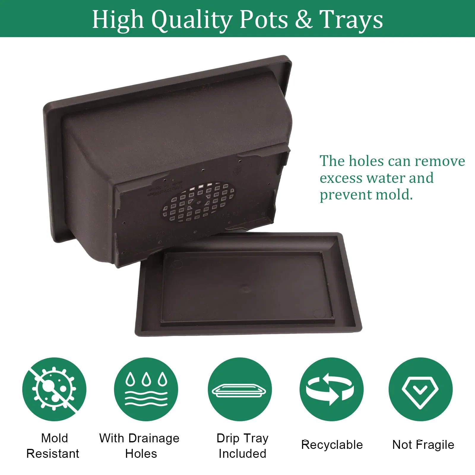 Bonsai Starter Tree Kits with Bonsai Pots Tools Bonsai Tree Live 7 Kinds of Bonsai Tree Seeds Soil Trays Grow Bonsai in Indoor Beginners Kits Garden Plant Kits