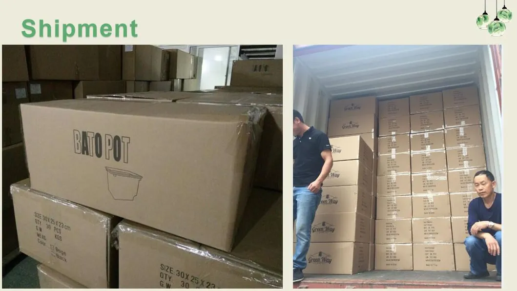 Commercial Hydroponics