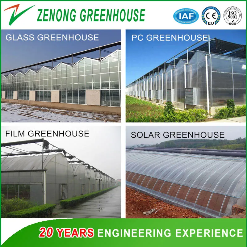 Other Greenhouse Type 1