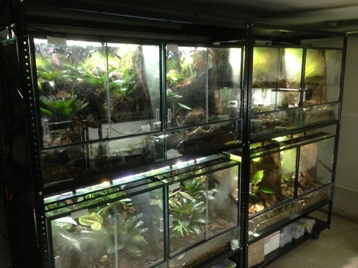 Terrarium Detail View 3