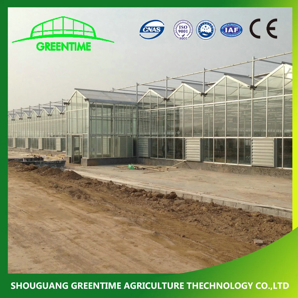 Cheap/Agriculture/Farm/Polycarbonate/Glass/Multi-Span Greenhouse with Irrigation Hydroponic System for Strawberry/Vegetables/Flowers/Tomato/Pepper