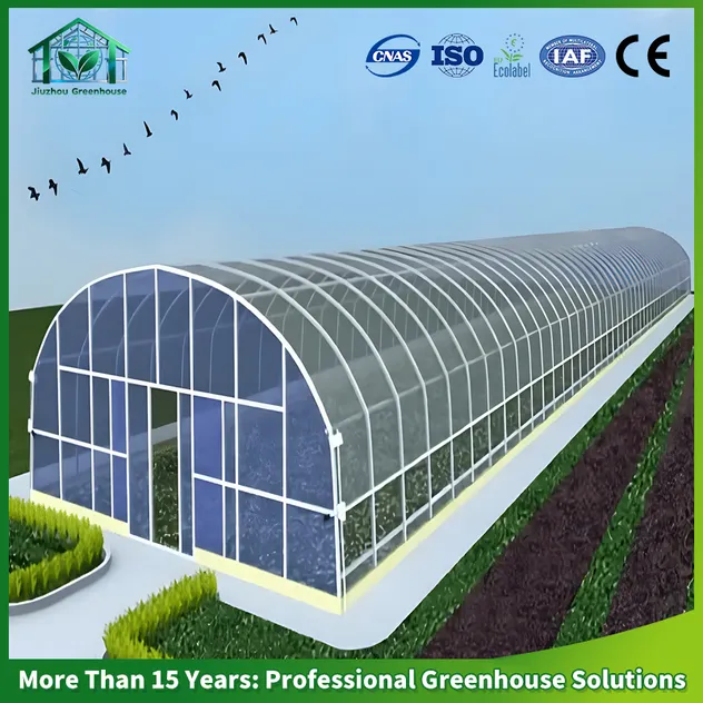 Greenhouse Display 1