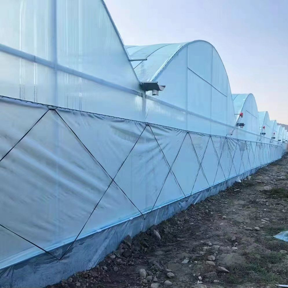 Multi-Span Plastic Greenhouse for Medicinal Herbs/Specialty Vegetables/Exotic Plants/Research &amp; Breeding