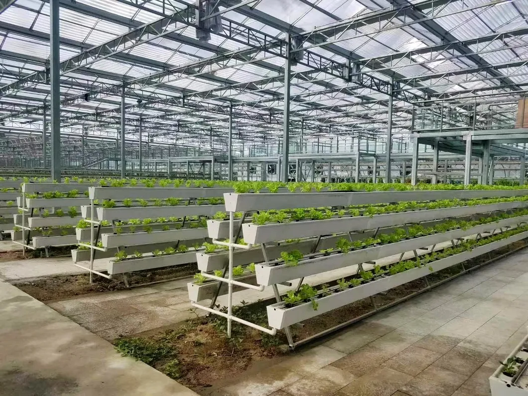 Greenhouse Strawberry Planting Trough