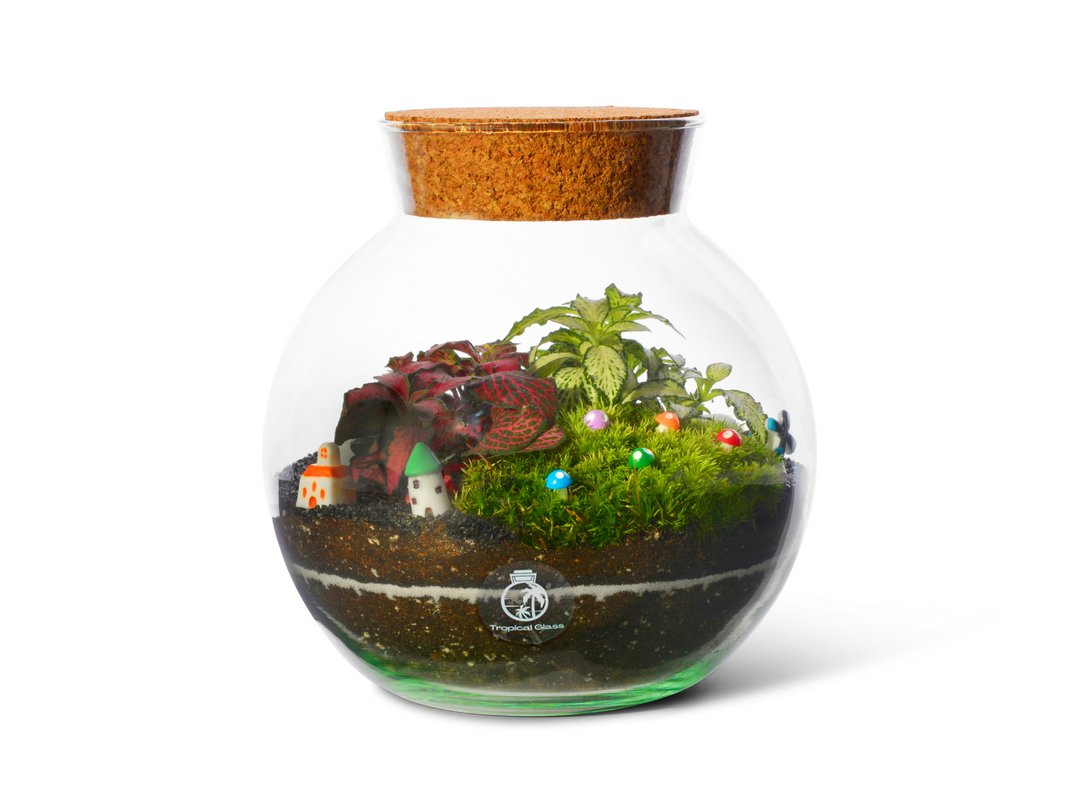 Closed DIY Terrarium Kit H: 18 Cm 'oxford'