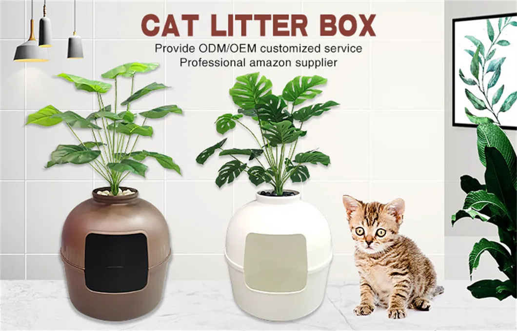 Cat Litter Box Overview