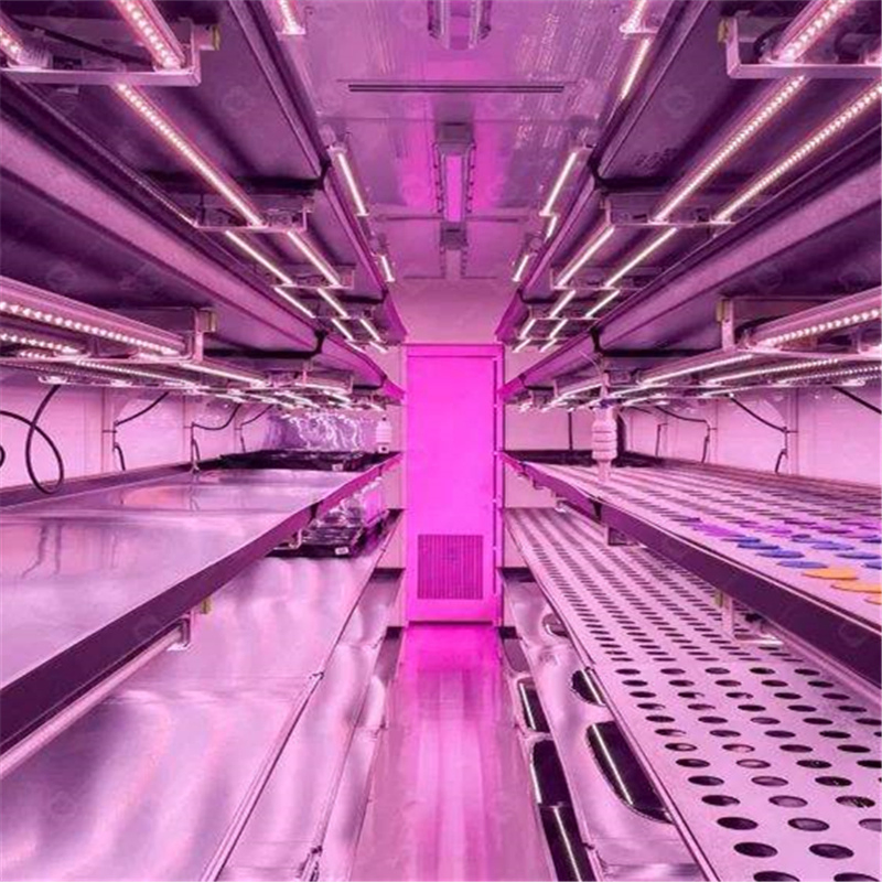 Wheat Grass Planting Container Farm Hydroponics