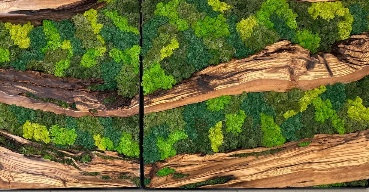 Moss Wall Art, Wall Decor, Living Wall, Special Decoration, Personalized Gift, Wood and Moss Home Decor, Wooden Wall Art