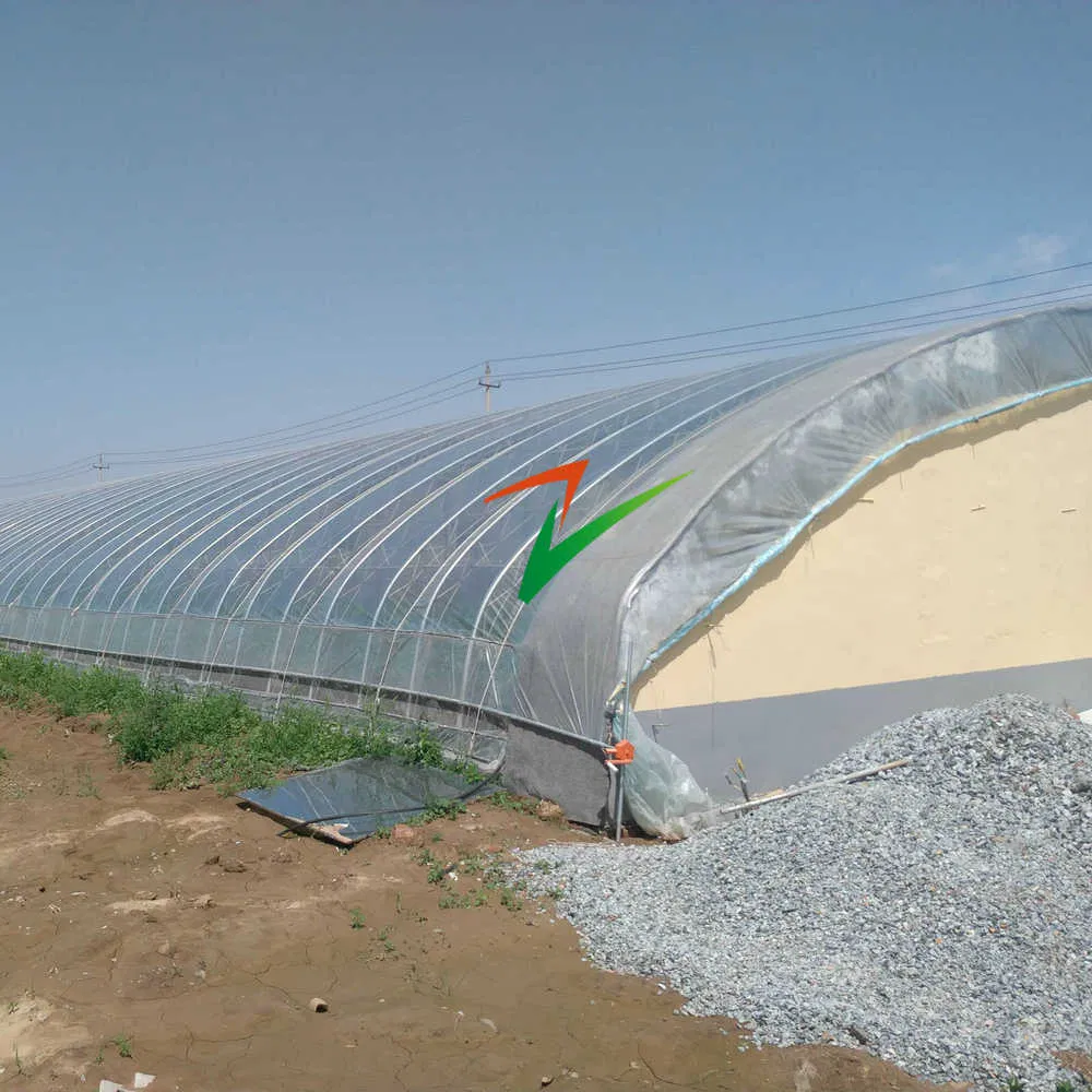 Single Span Film Solar Greenhouse Air Wall Greenhouse with Intelligent/Shading/Irrigation System for Plant Heat Preservation and Shading