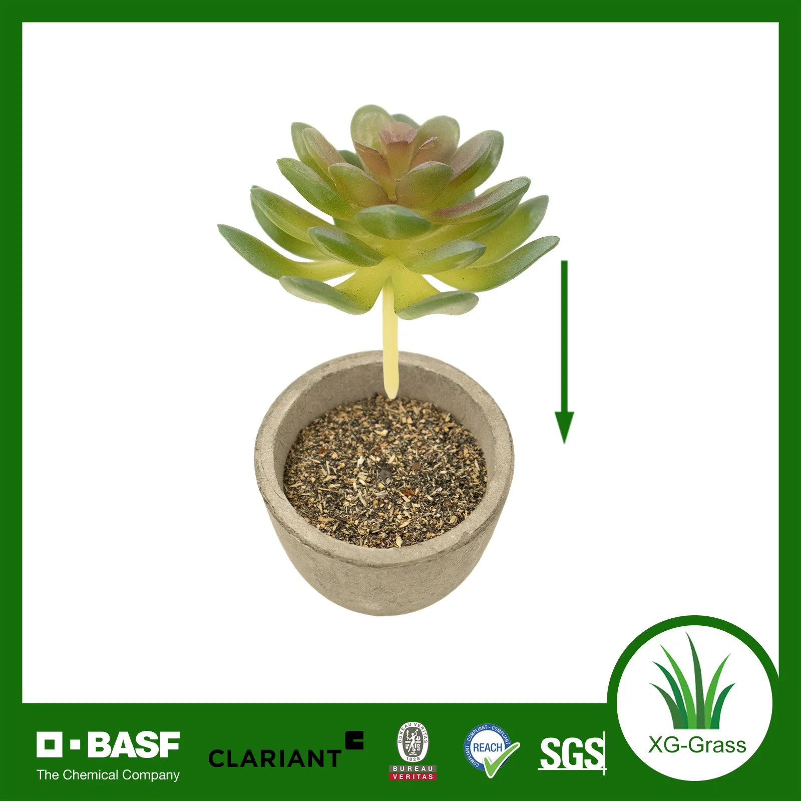 Lifelike Mini Succulent Art