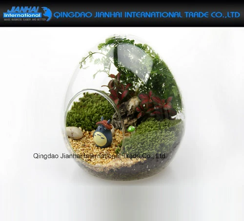 Fairy Garden Decor Egg Shaped Clear Glass Vase Terrariums
