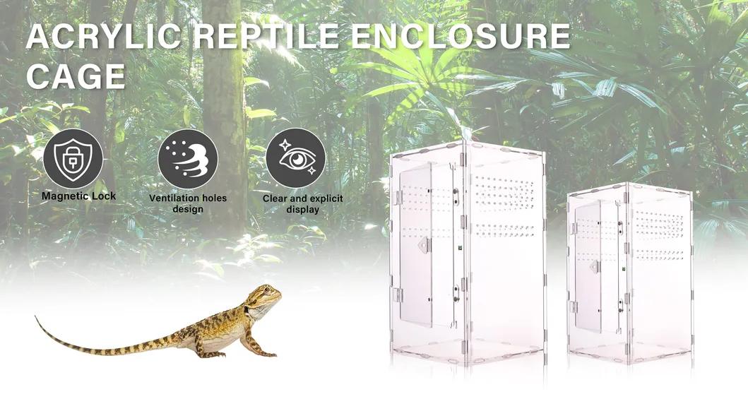 Acrylic Reptile Tank 1