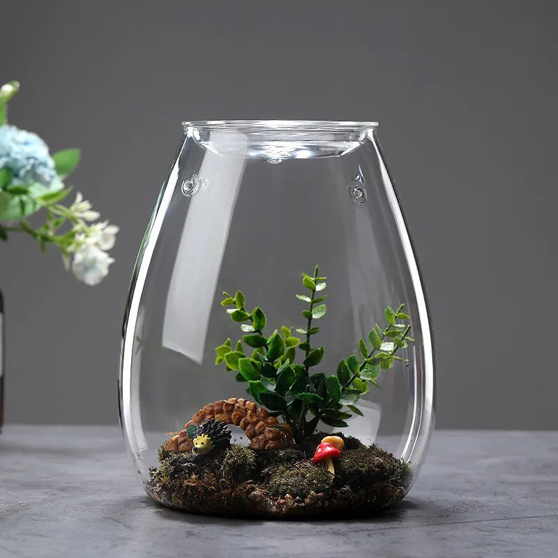 Glass Terrarium 7