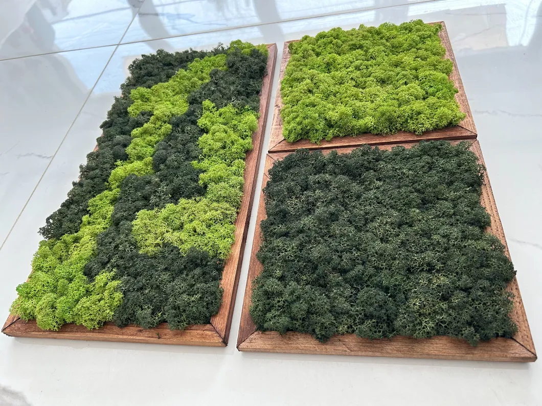 Moss Wall Decor Preview 1