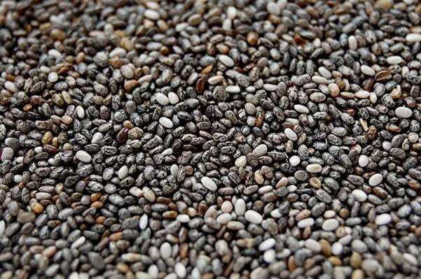 Chia Seeds Wholesale Nursery Edible Seed