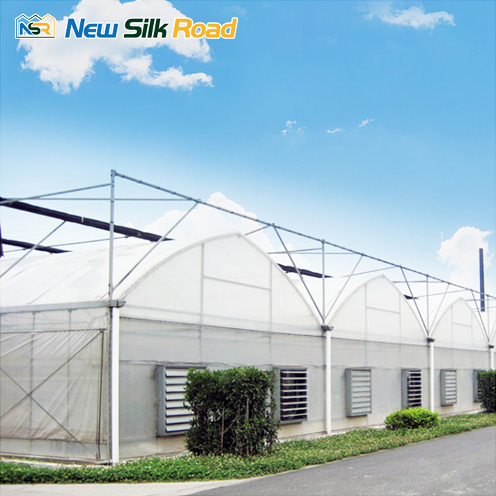 Gothic Film Tropical Greenhouses Hydroponic Growing Greenhouses for Tomato