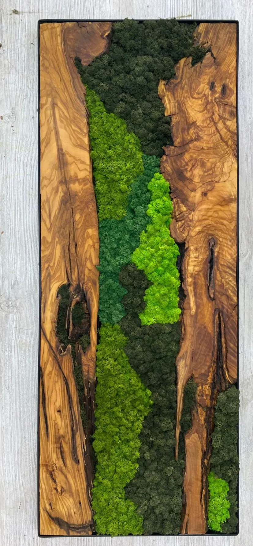 Custom Made Moss and Olive Wood Wall Art Metal Frame Moss Wall Decor Olive Wood and Moss Wall Art Preserved Stabilized Moss Wall Decor