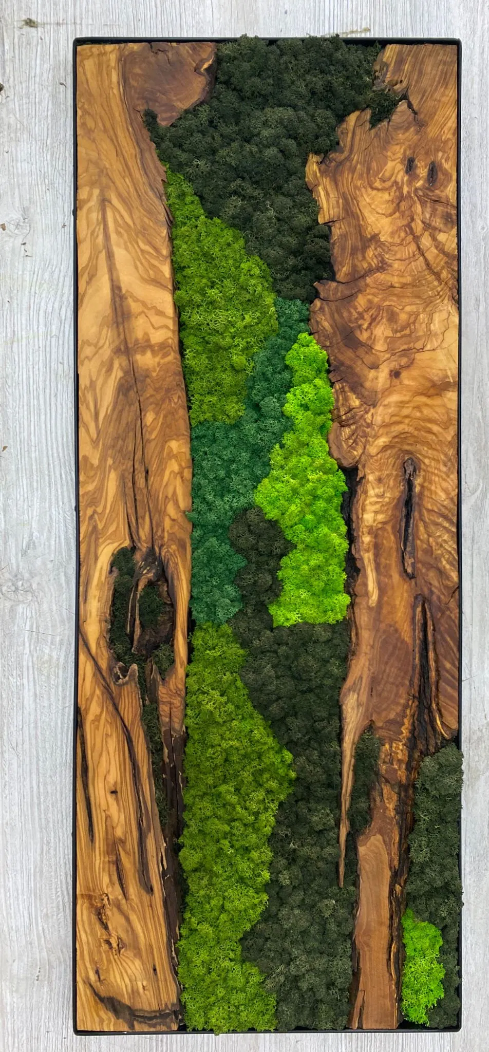 Moss and Wood Mix
