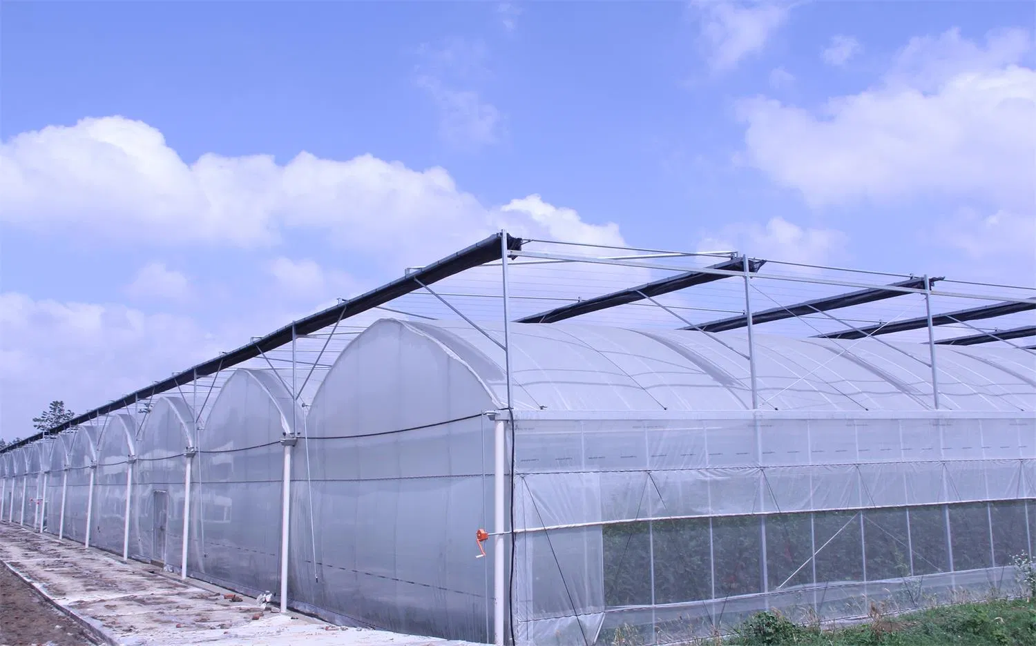 Sawtooth Vegetable and Flower Greenhouses with Warm Agro Technology
