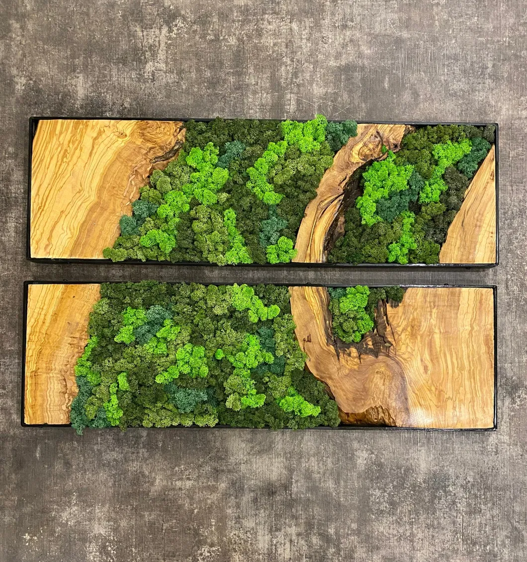Moss Decor 2