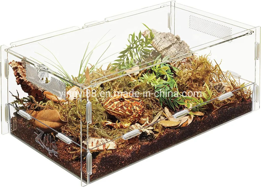 Reptile Terrarium View 2